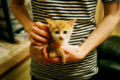 广场舞推动体育产业多元化发展,舞蹈体育广场舞