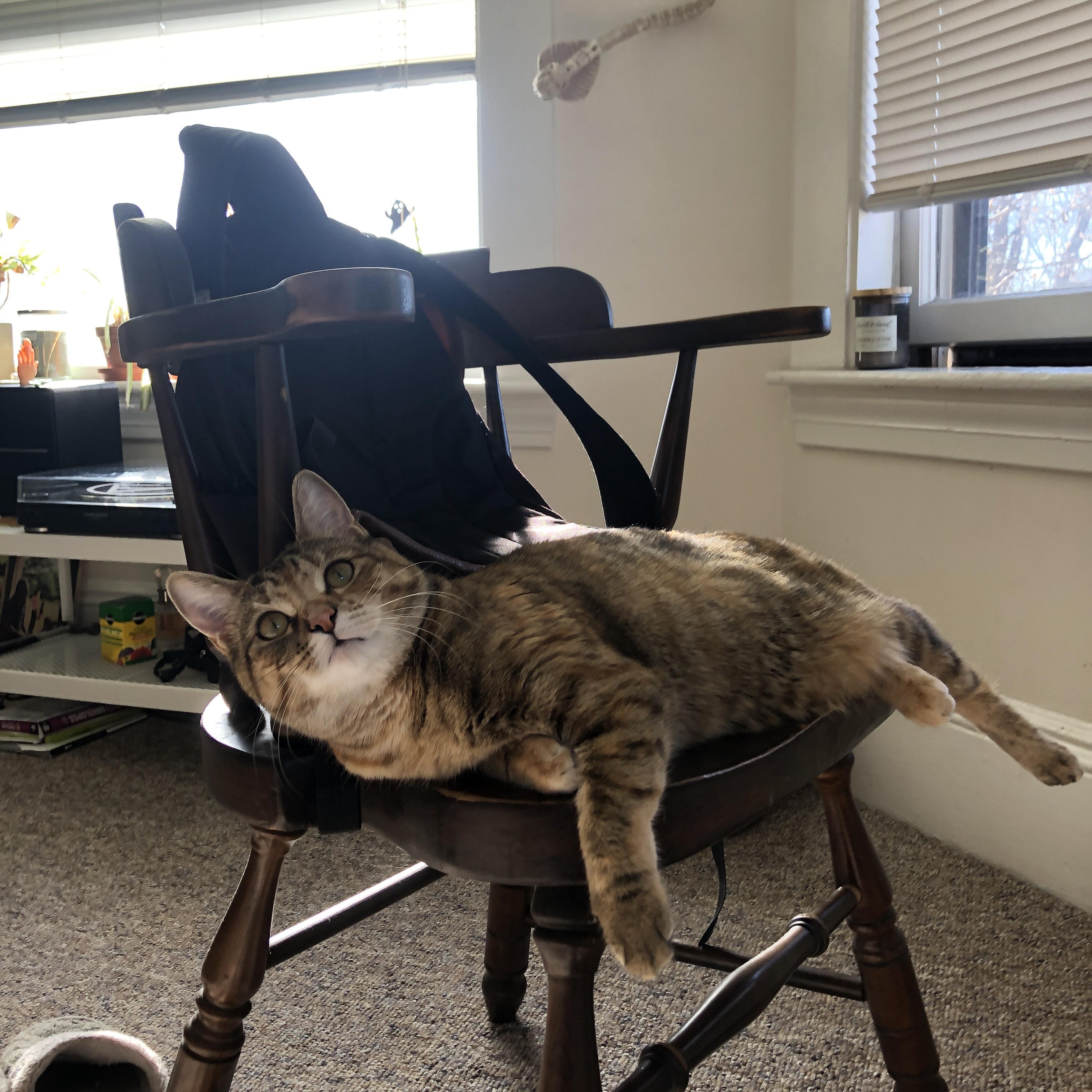 深圳新鹏城年轻球员闪耀全场，深圳鹏城足球队名单