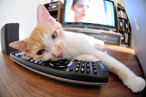 逆境中的英雄:WRC车手应对极端天气的精彩瞬间