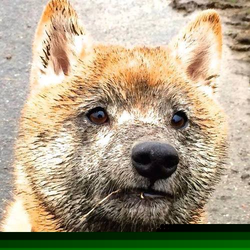 青训优秀教练团队深耕基层,为青少年球员提供专业指导,青训球员的定义