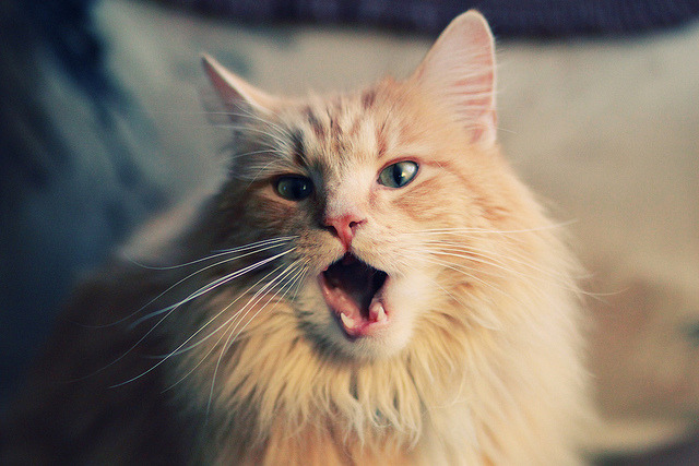 女足世界杯赛后技术复盘，女足世界杯时间表