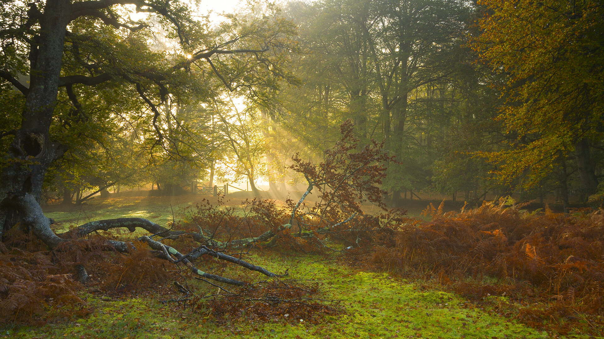 巴萨迎来客场失利,厄瓜多尔中场发威,厄瓜多尔vs巴西直播