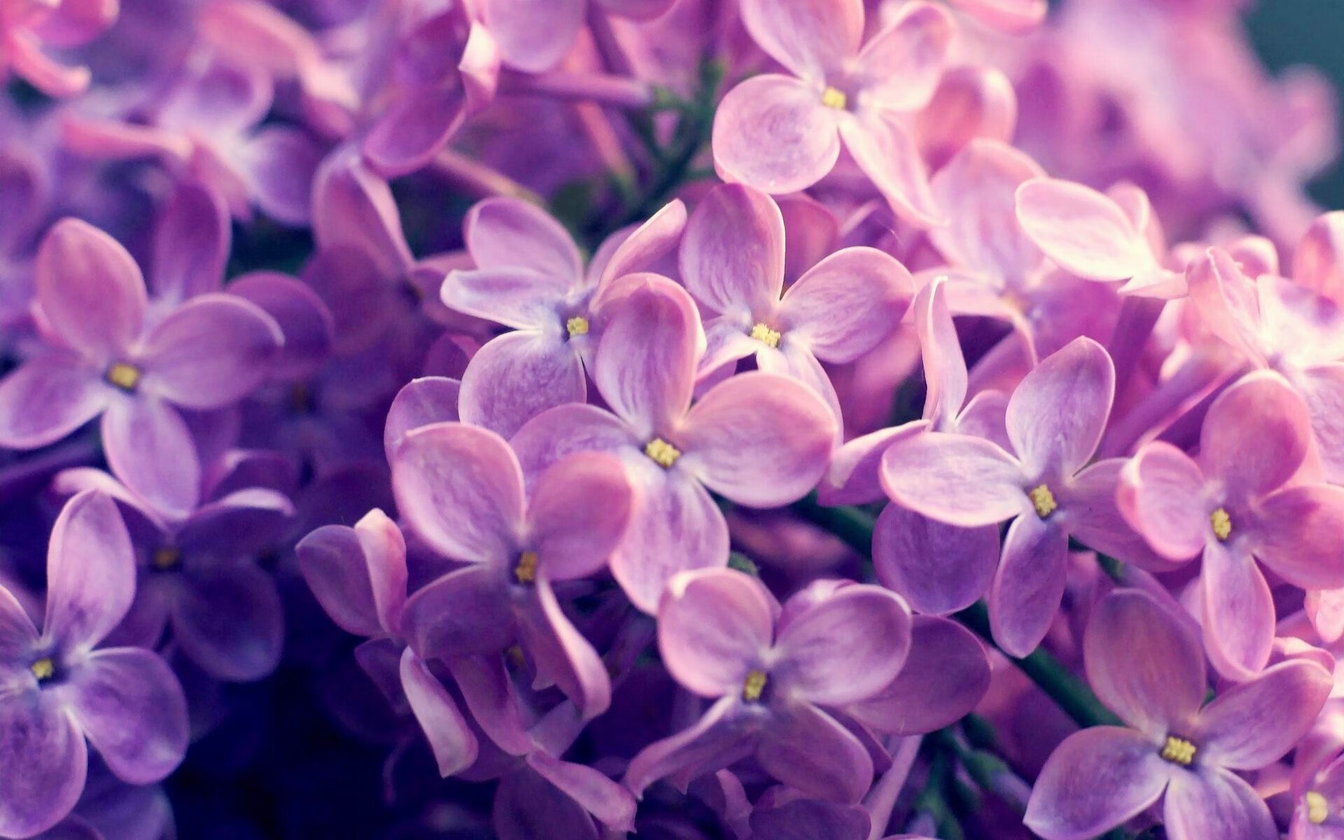 巴萨防线惨败，西甲劲旅面临保级压力，4个月有望减11分差距 巴萨正上演西甲史上最大逆转