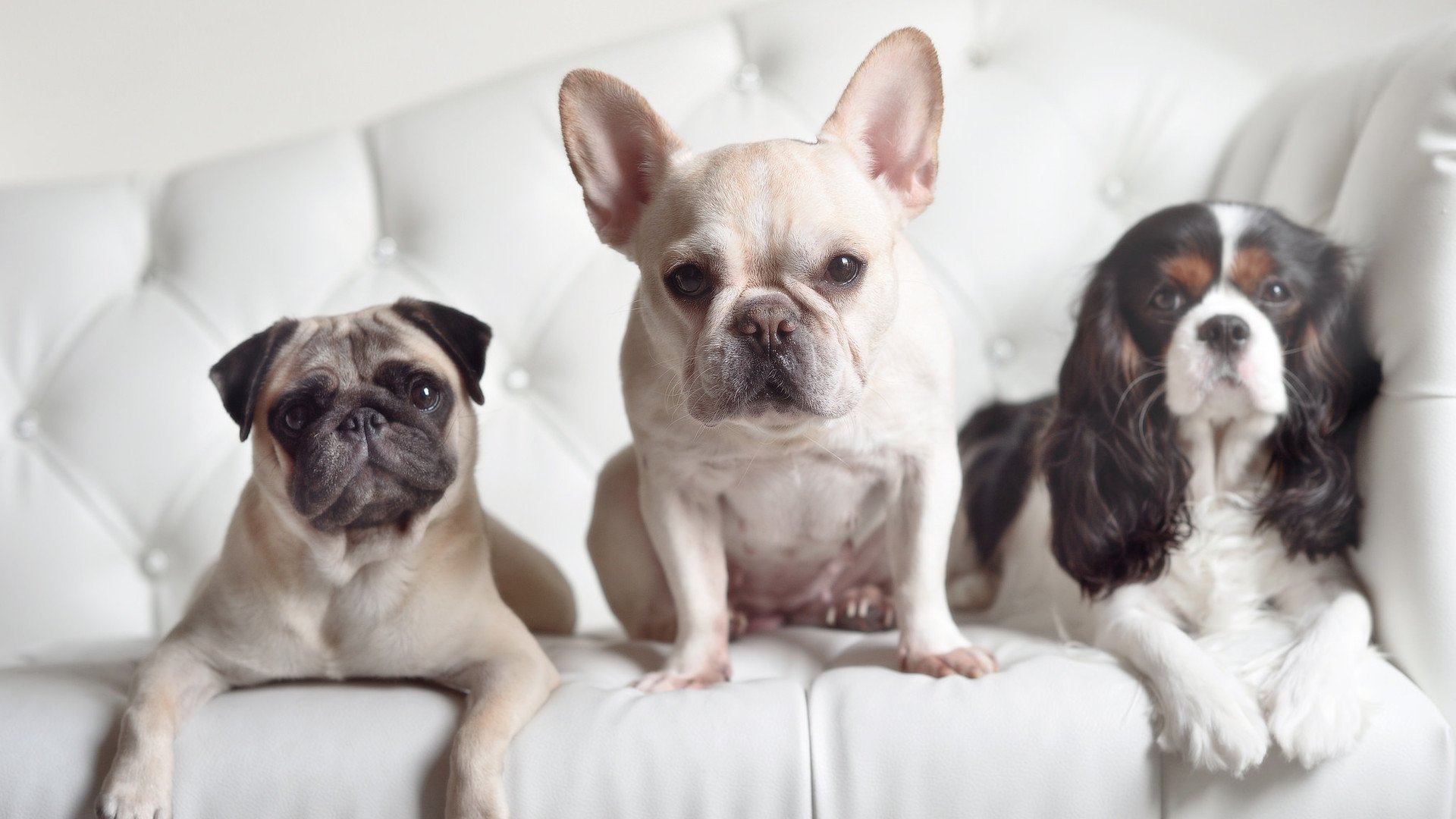 巴萨青训新星破门，拉玛西亚再出神童，巴萨首发11人拉玛西亚