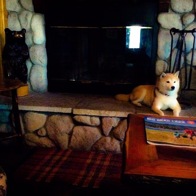 摩洛哥反曲弓选手在2024年非洲射箭锦标赛中表现出色