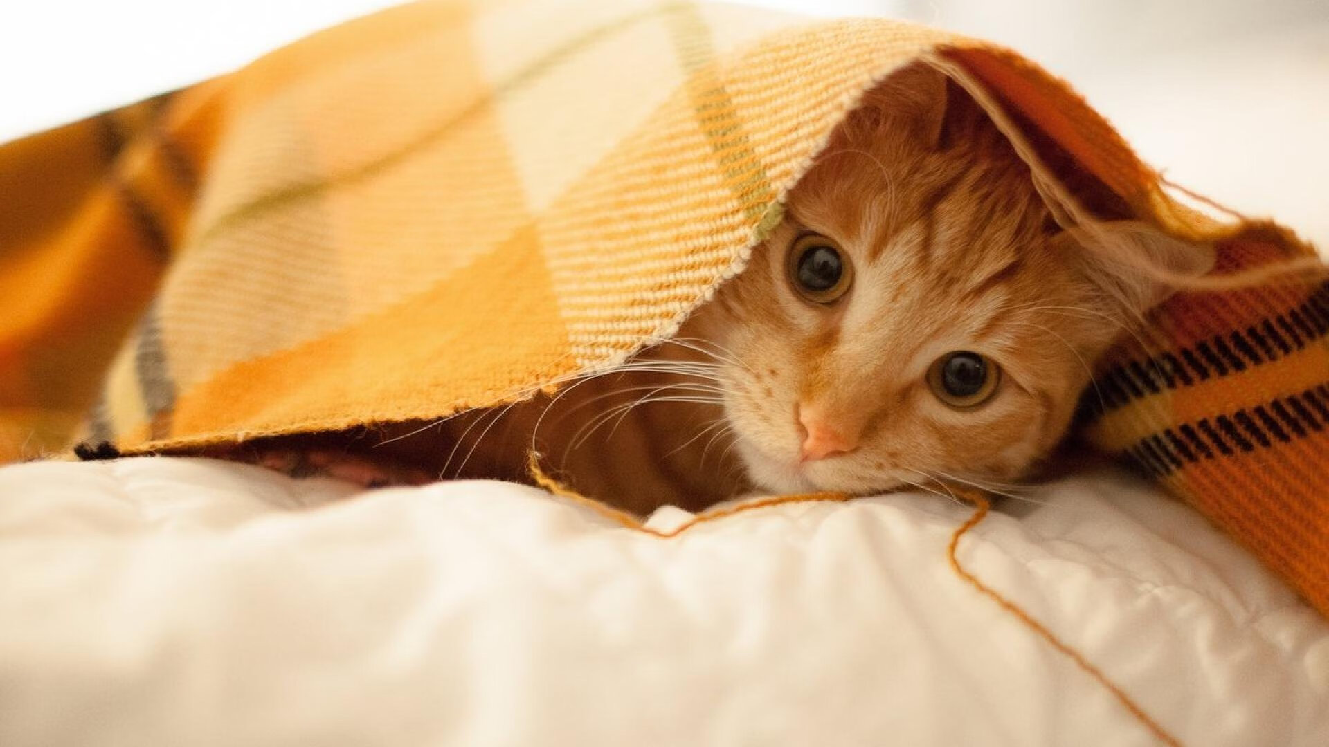 兴隆湖畔，2025湖滨赛场激情开启，兴隆湖重建