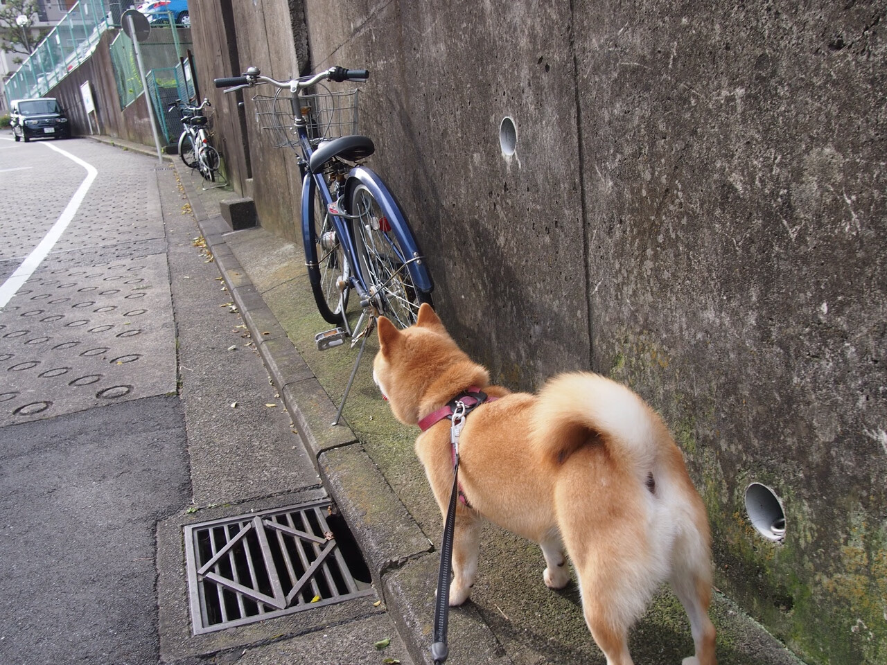 德甲赛场盛宴:攻防转换间的精彩佳作,德甲防守最好的球队