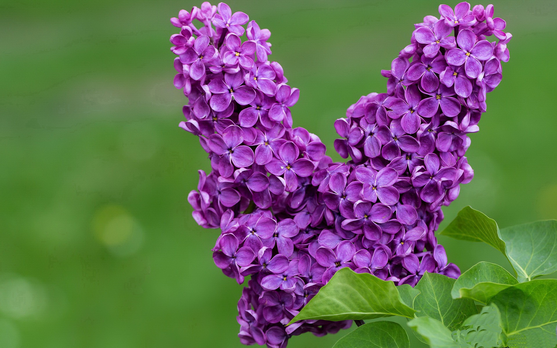 男子国家队注重体能与技术的结合提升整体实力,国家队体能达标测试评分标准(2020年2月版)